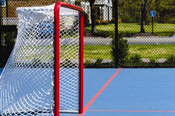 hockey net at Heatherwood House at Ronkonkoma, Lake Ronkonkoma, NY, 11779